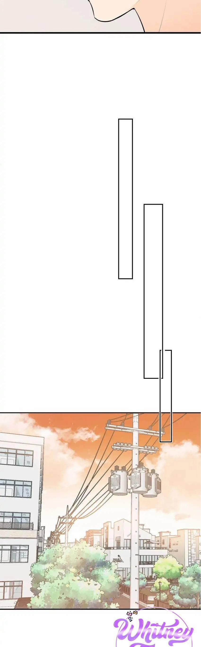 Những Ngày Thanh Xuân Của Tôi 3 trang 26