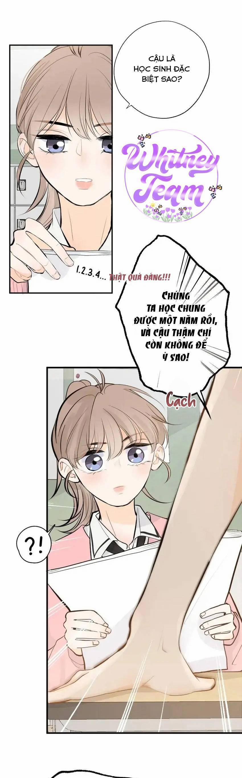 Những Ngày Thanh Xuân Của Tôi 4 trang 11