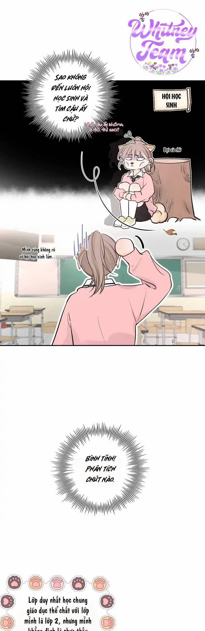 Những Ngày Thanh Xuân Của Tôi 4 trang 22