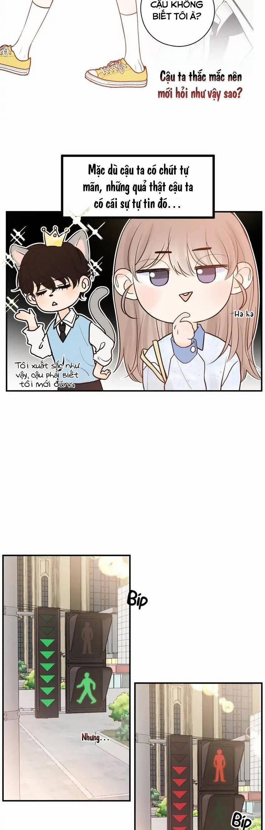 Những Ngày Thanh Xuân Của Tôi 6 trang 21