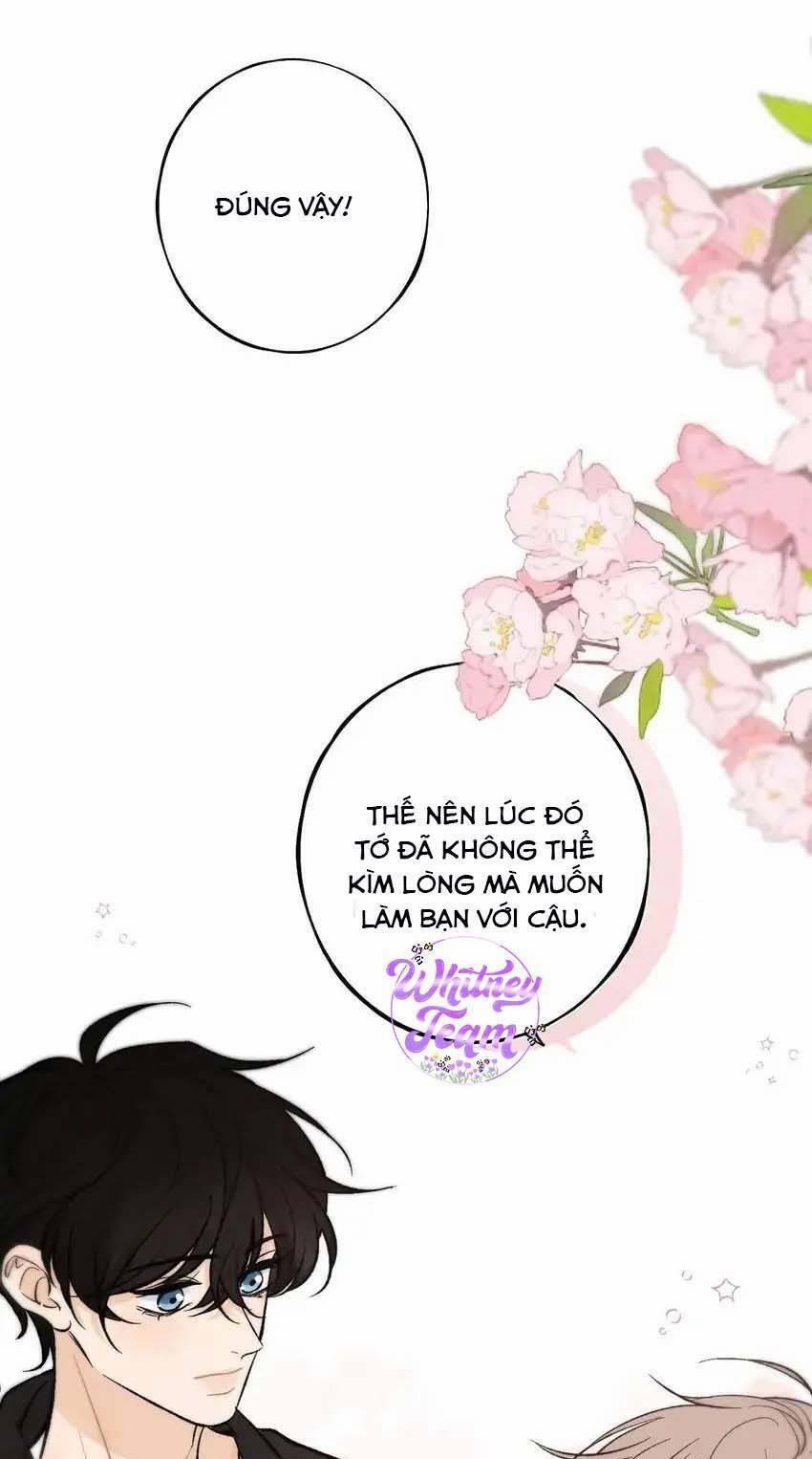 Những Ngày Thanh Xuân Của Tôi 8 trang 9