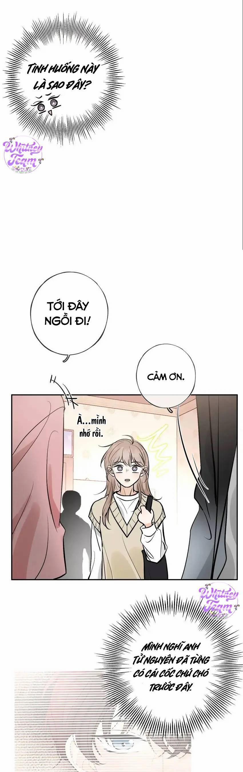 Những Ngày Thanh Xuân Của Tôi 9 trang 16