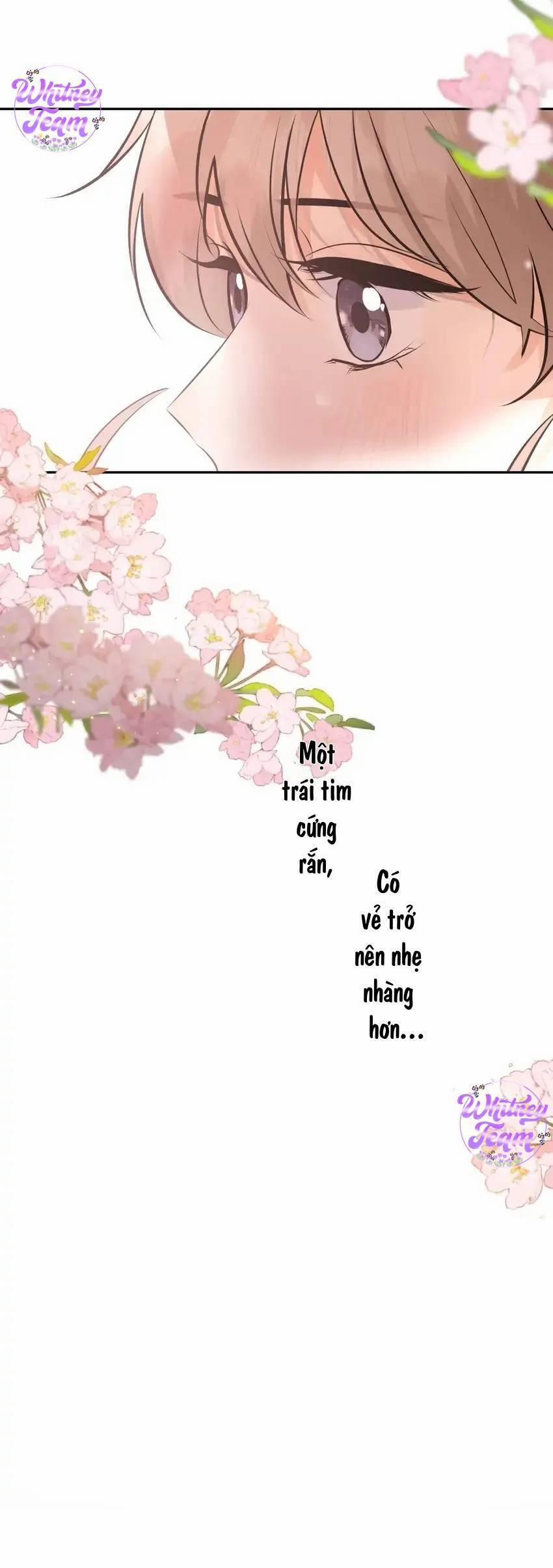 Những Ngày Thanh Xuân Của Tôi 9 trang 36