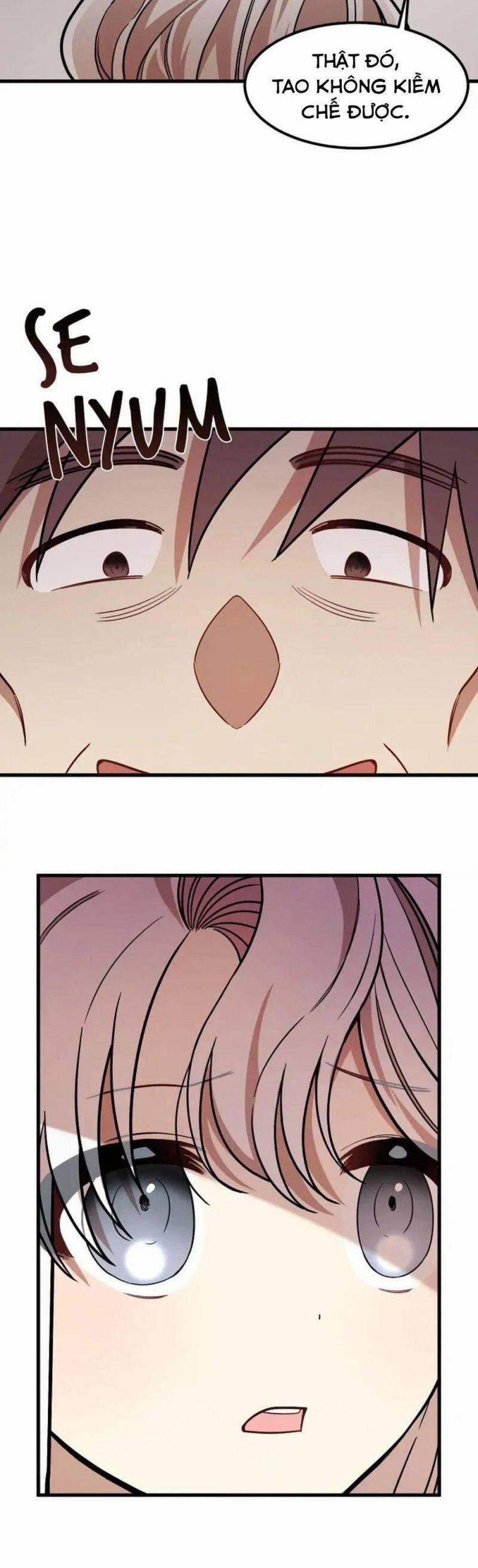 Những Người Anh Nguy Hiểm Của Công Nương 20 trang 19