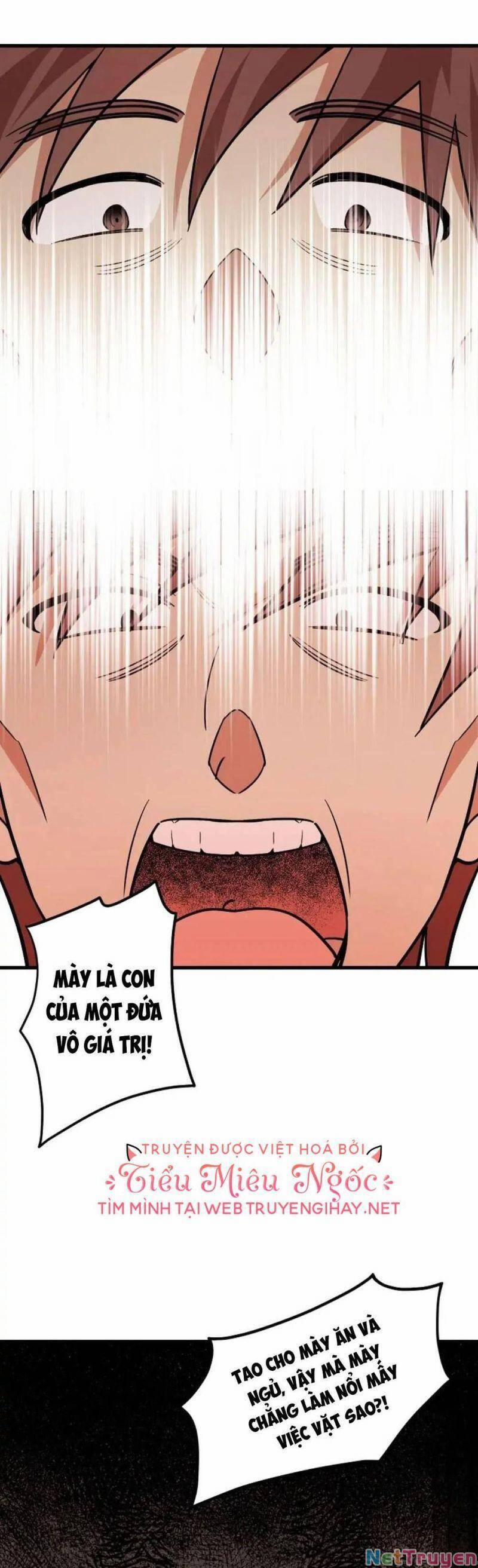 Những Người Anh Nguy Hiểm Của Công Nương 20 trang 20