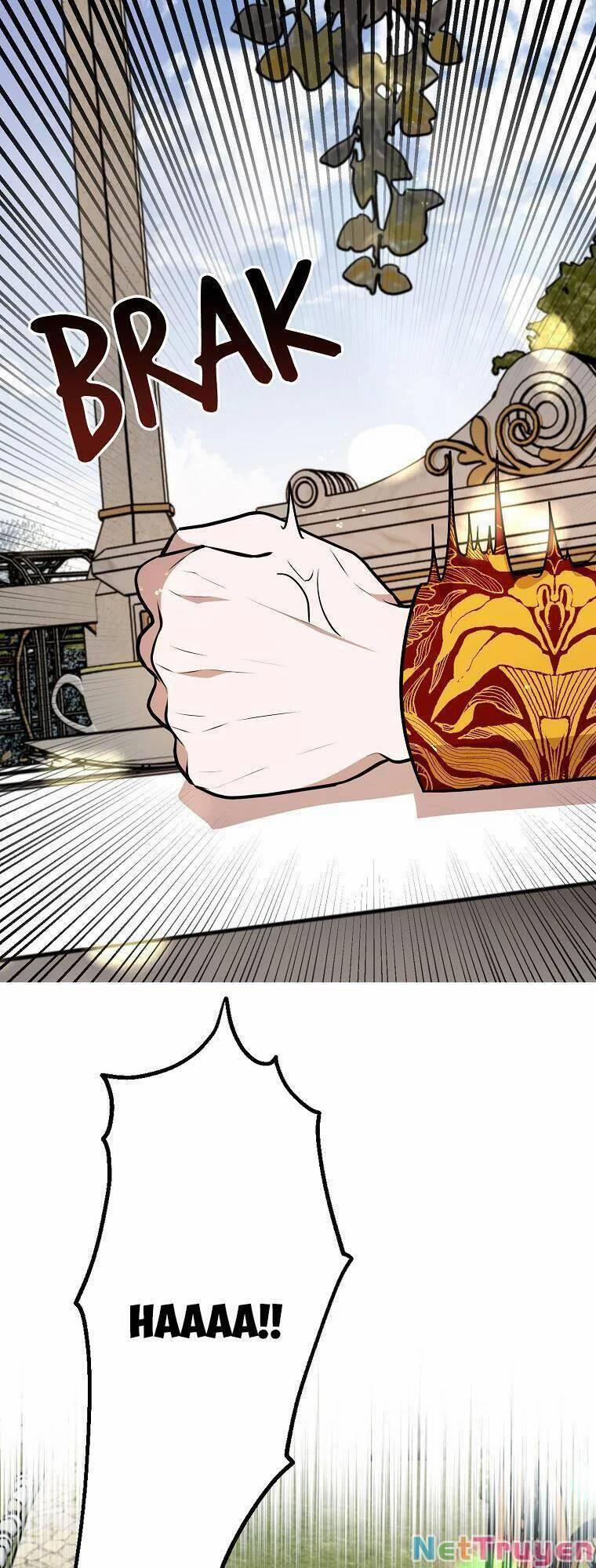 Những Người Anh Nguy Hiểm Của Công Nương 29 trang 40