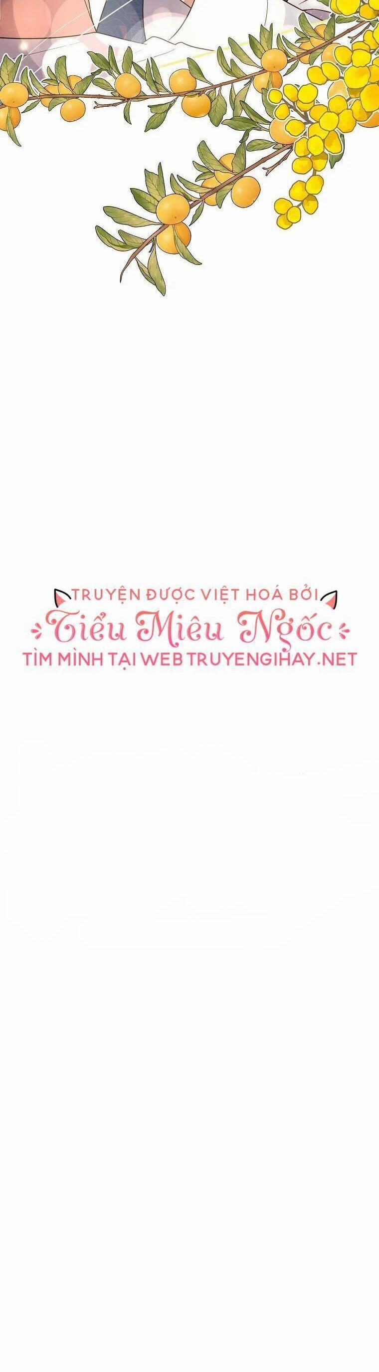 Những Người Anh Nguy Hiểm Của Công Nương 43 trang 22