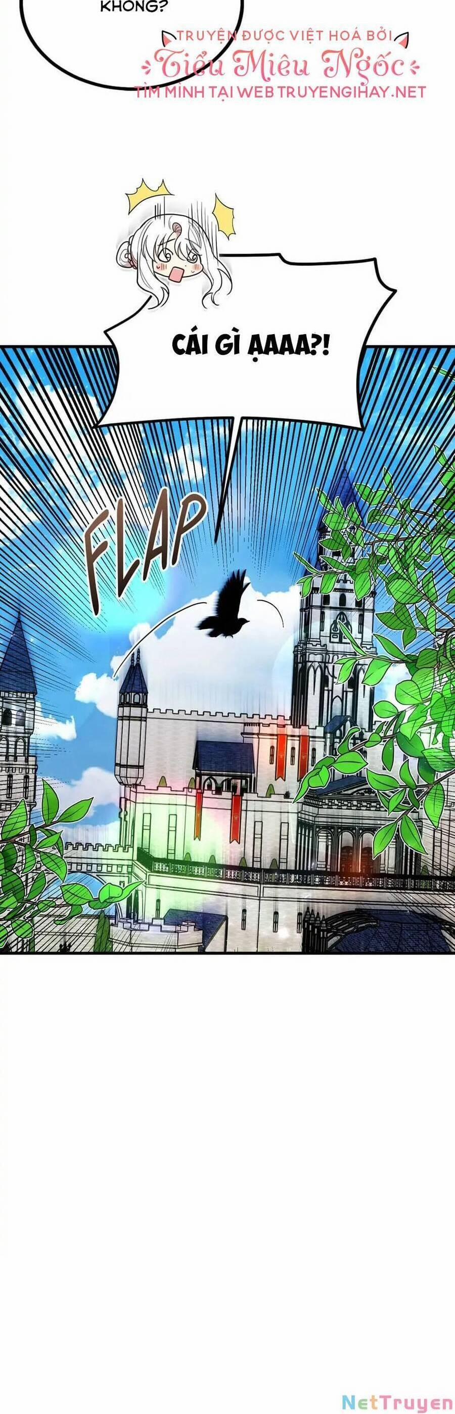 Những Người Anh Nguy Hiểm Của Công Nương 46 trang 51