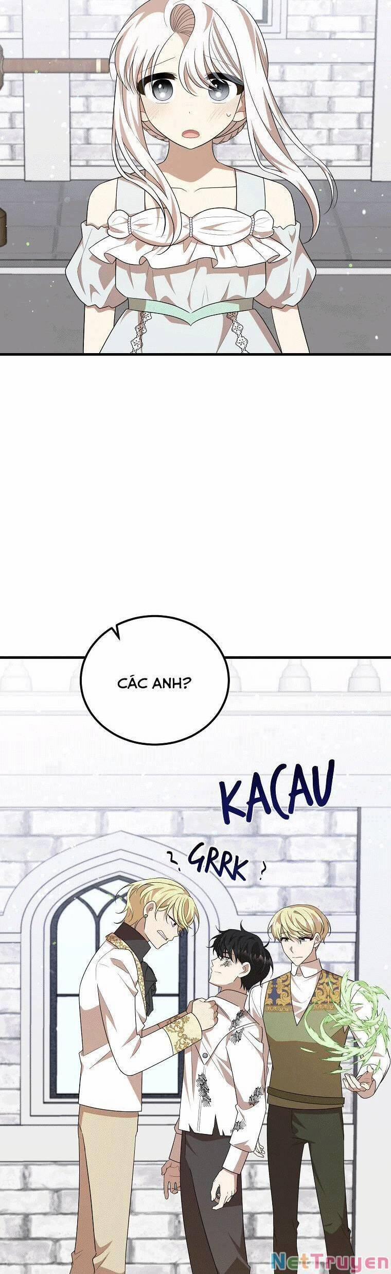 Những Người Anh Nguy Hiểm Của Công Nương 49 trang 16