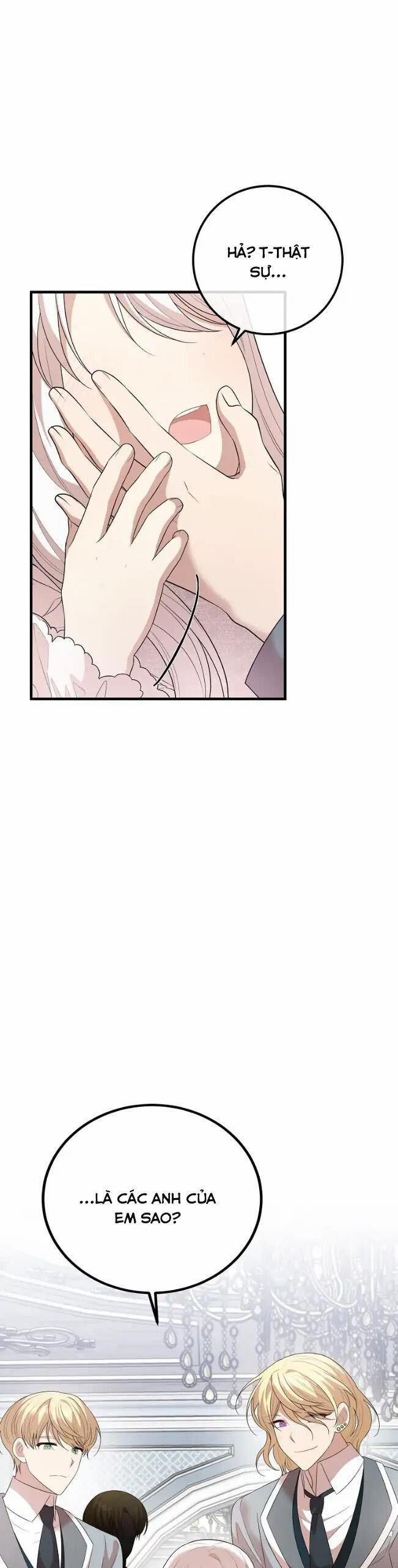 Những Người Anh Nguy Hiểm Của Công Nương 63 trang 27