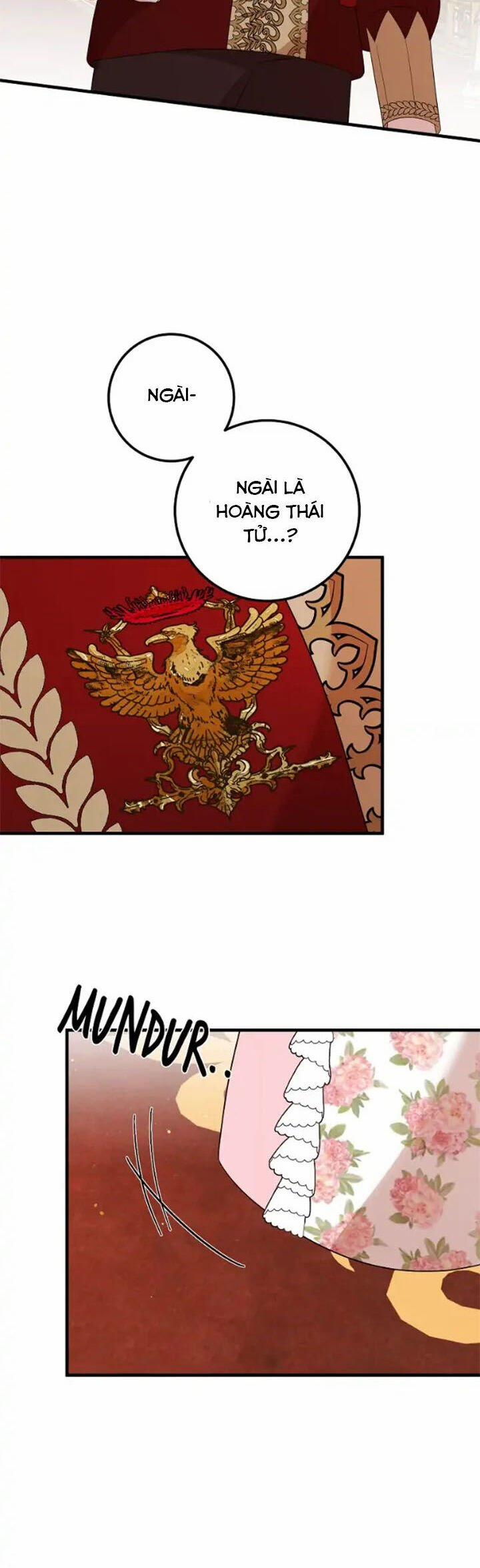 Những Người Anh Nguy Hiểm Của Công Nương 68 trang 24