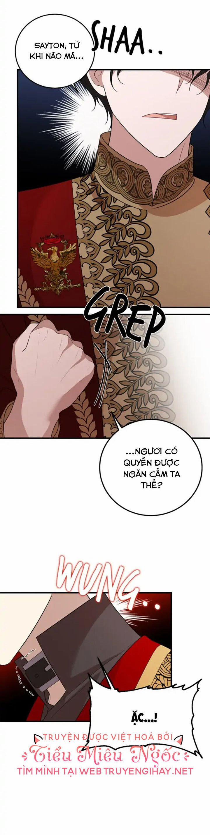 Những Người Anh Nguy Hiểm Của Công Nương 68 trang 28