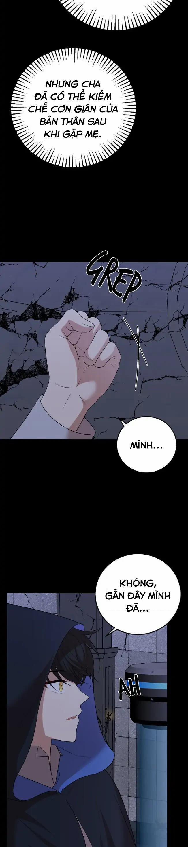 Những Người Anh Nguy Hiểm Của Công Nương 70 trang 13