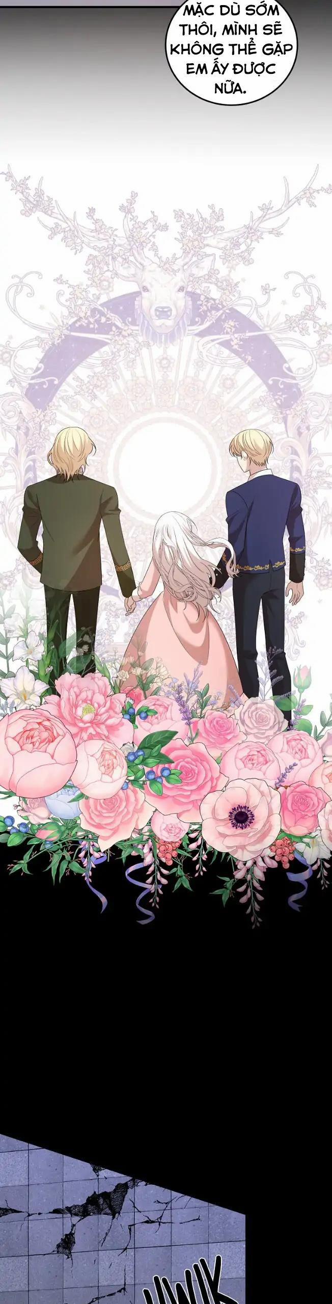 Những Người Anh Nguy Hiểm Của Công Nương 70 trang 16