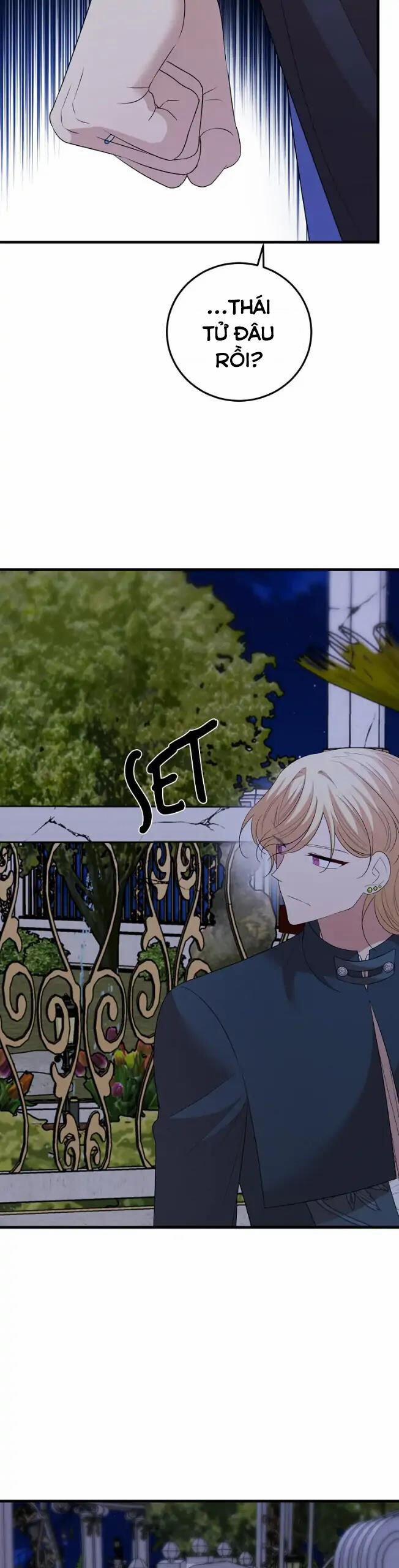 Những Người Anh Nguy Hiểm Của Công Nương 70 trang 27