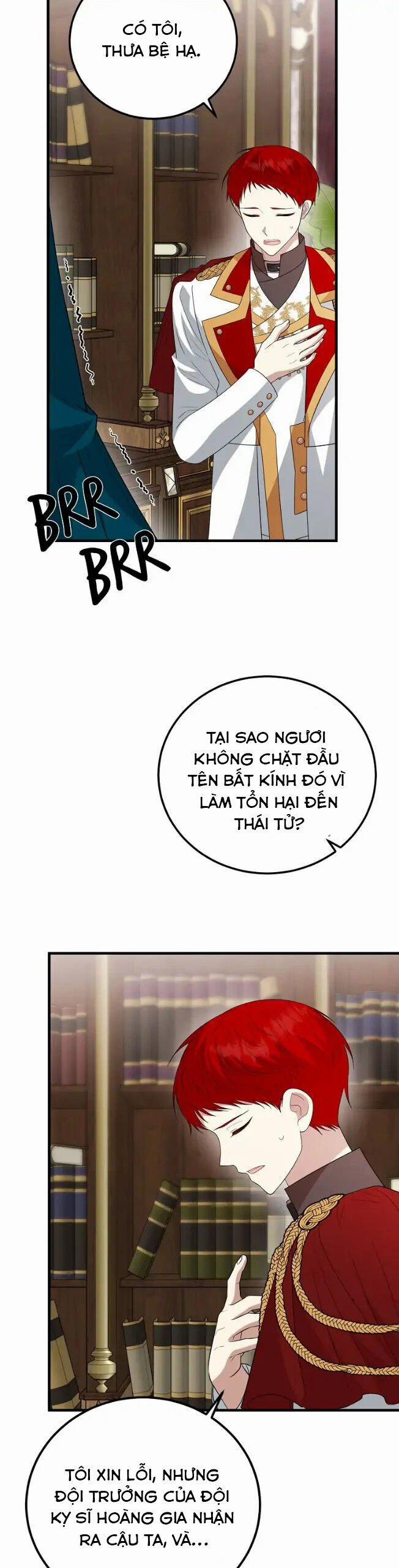 Những Người Anh Nguy Hiểm Của Công Nương 71 trang 19