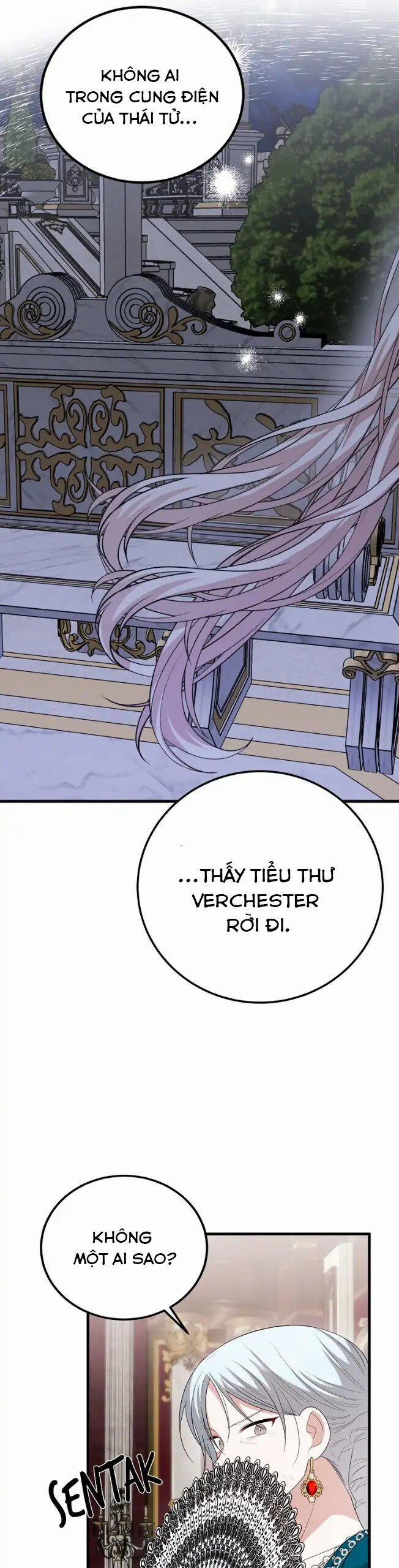 Những Người Anh Nguy Hiểm Của Công Nương 71 trang 25