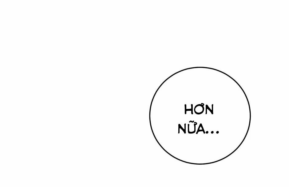 Những Người Anh Nguy Hiểm Của Công Nương 92 trang 48