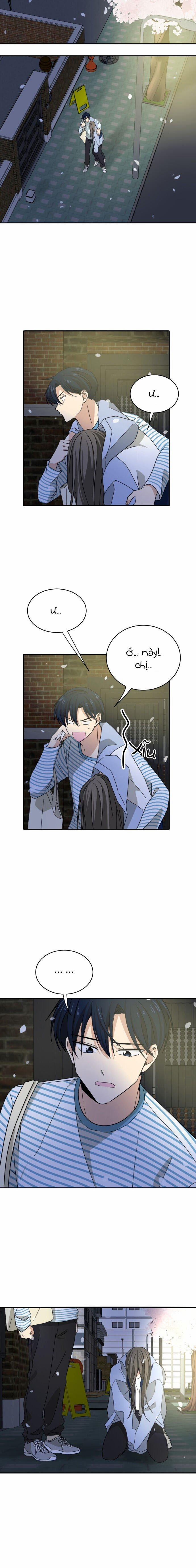 Những Người Bạn Của Em Trai Tôi 3 trang 17