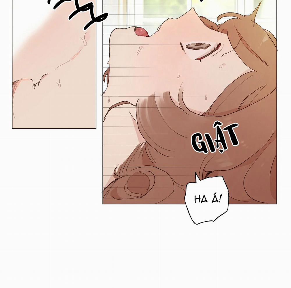 Những Vị Hôn Phu Thầy Kiếm Về Cho Tôi 12.1 trang 24