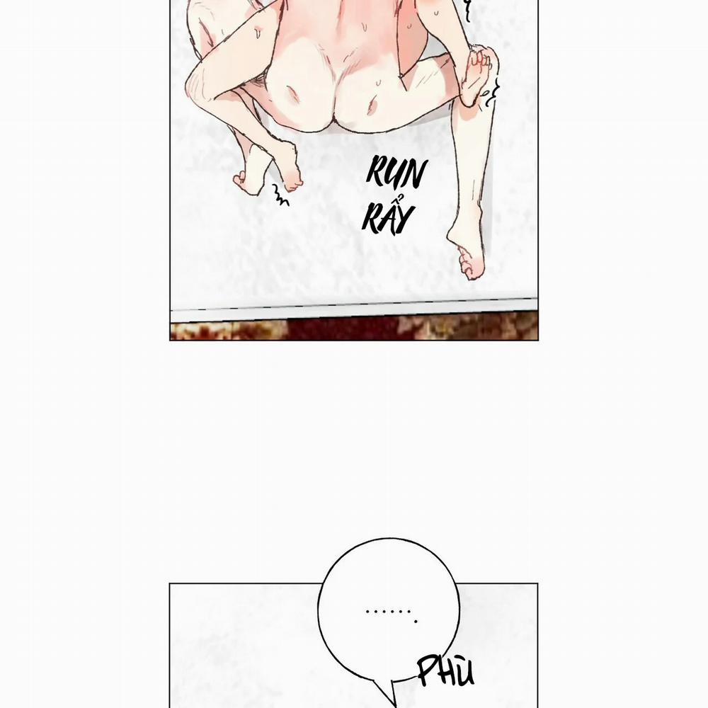 Những Vị Hôn Phu Thầy Kiếm Về Cho Tôi 12.1 trang 32