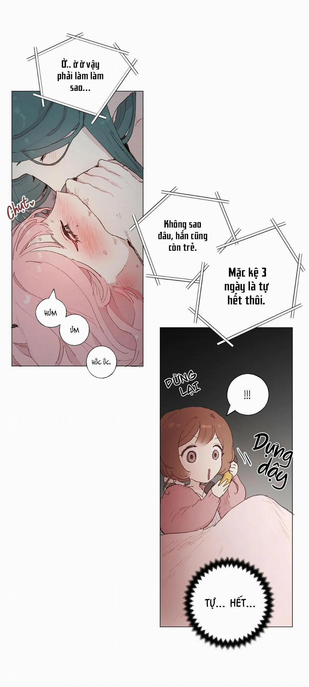 Những Vị Hôn Phu Thầy Kiếm Về Cho Tôi 15 trang 28