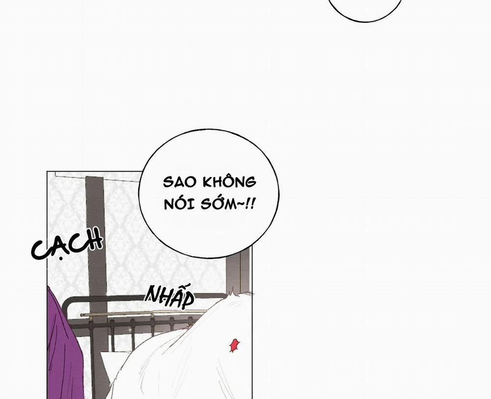 Những Vị Hôn Phu Thầy Kiếm Về Cho Tôi 16 trang 14