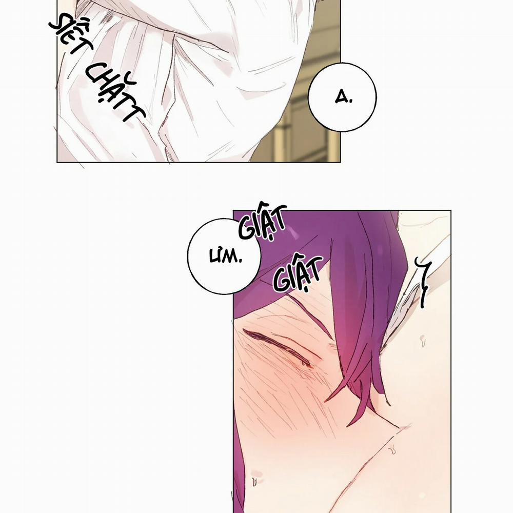 Những Vị Hôn Phu Thầy Kiếm Về Cho Tôi 16 trang 31