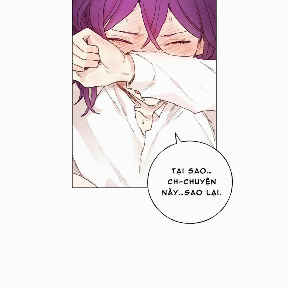 Những Vị Hôn Phu Thầy Kiếm Về Cho Tôi 16 trang 39