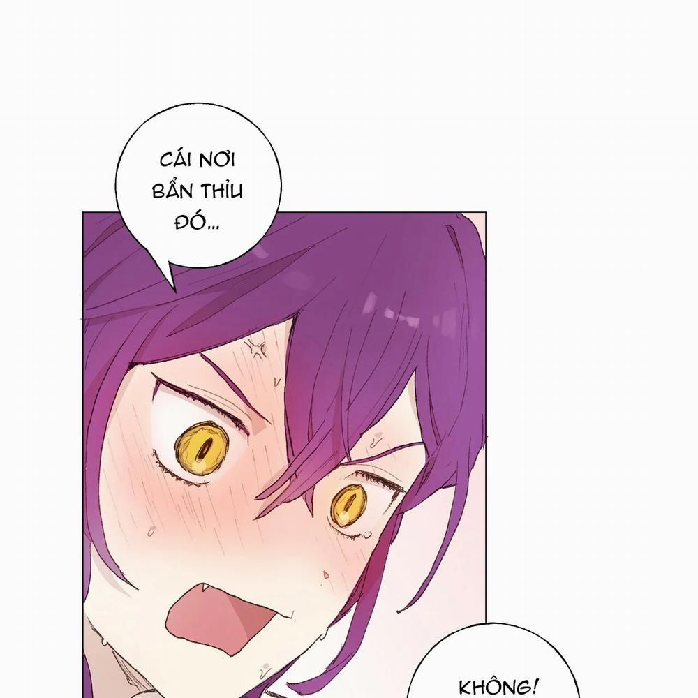 Những Vị Hôn Phu Thầy Kiếm Về Cho Tôi 16 trang 57