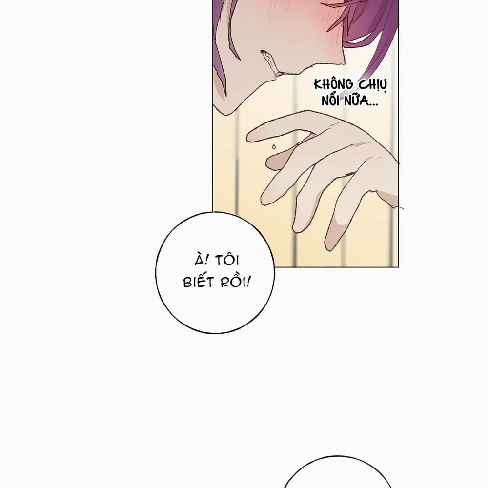 Những Vị Hôn Phu Thầy Kiếm Về Cho Tôi 16 trang 59