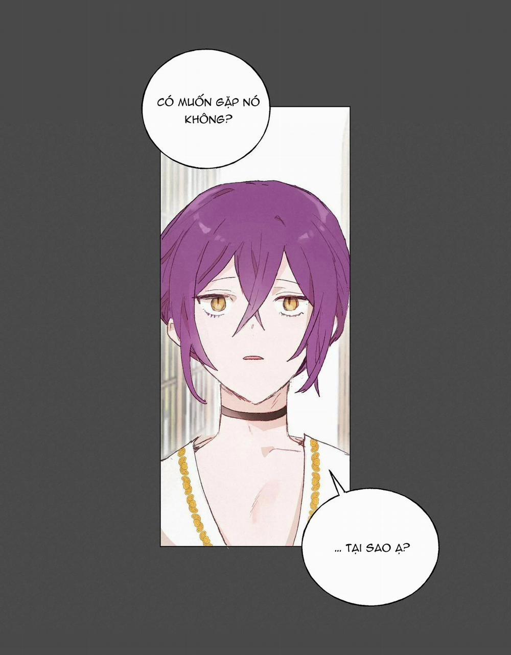 Những Vị Hôn Phu Thầy Kiếm Về Cho Tôi 17 trang 12