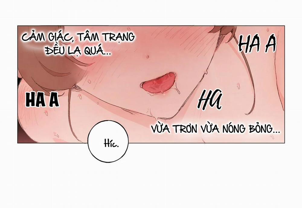 Những Vị Hôn Phu Thầy Kiếm Về Cho Tôi 17 trang 21