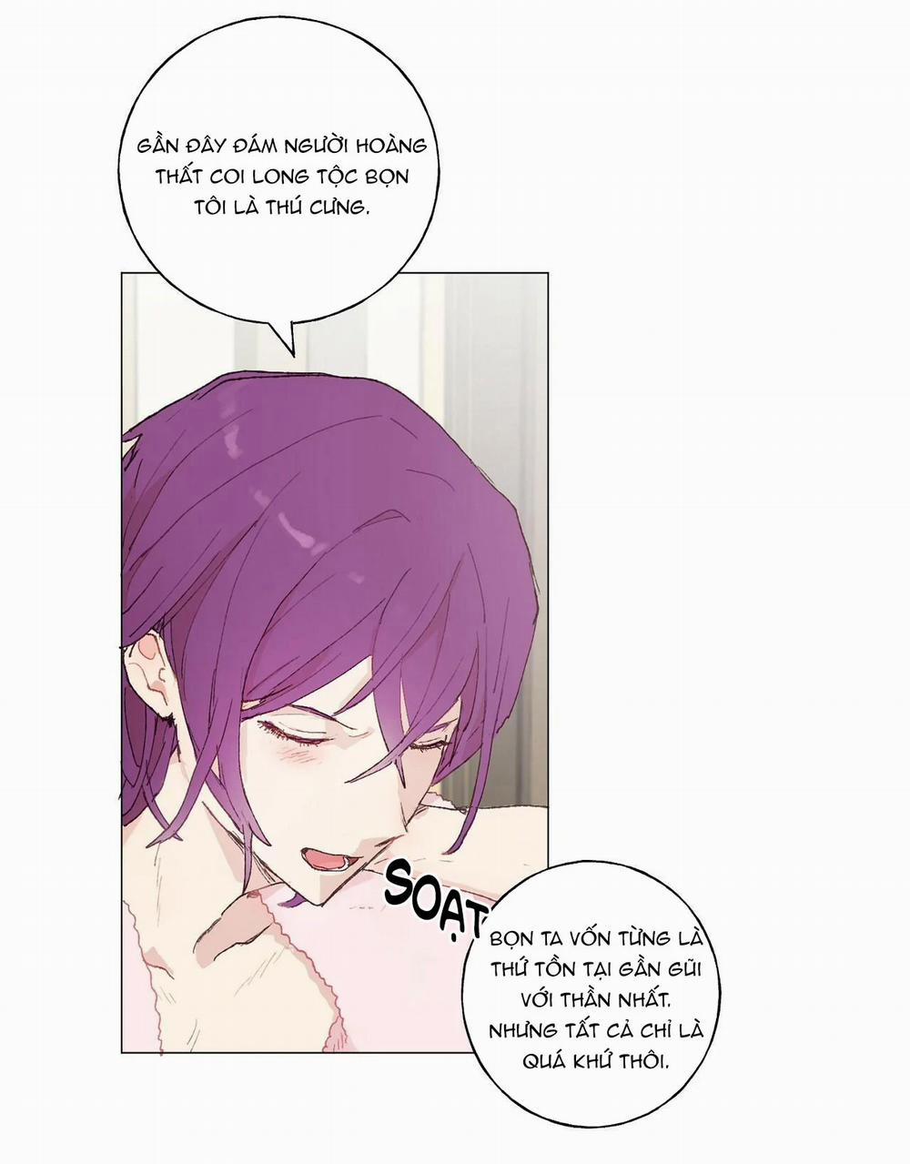 Những Vị Hôn Phu Thầy Kiếm Về Cho Tôi 17 trang 46