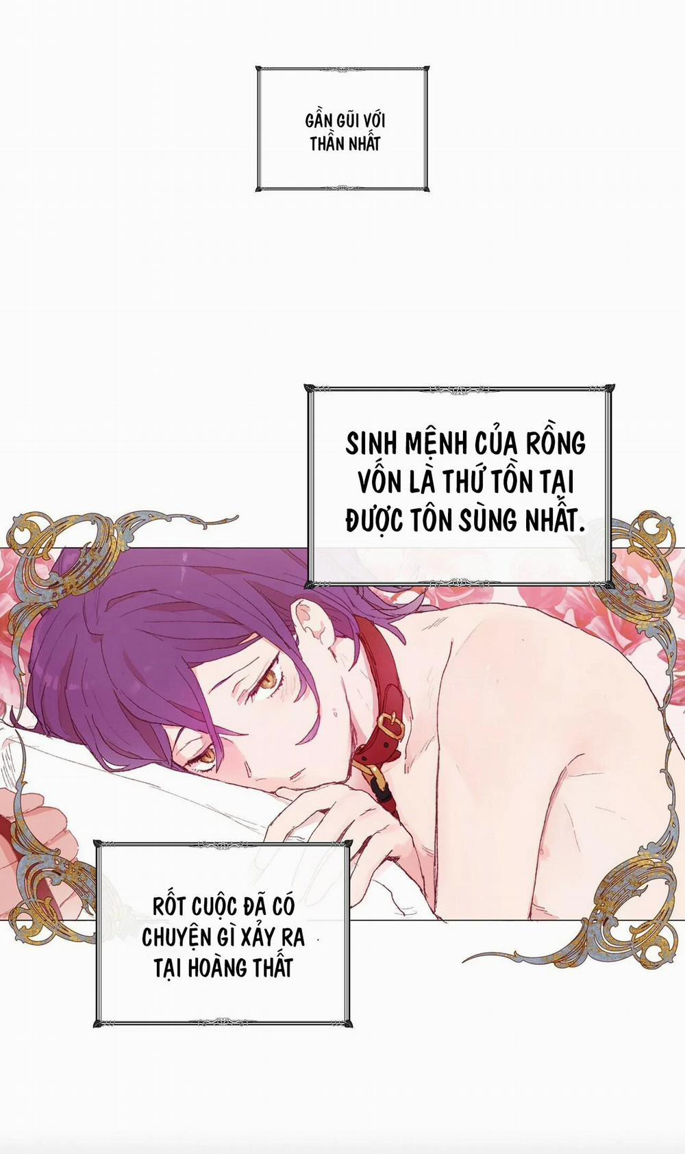 Những Vị Hôn Phu Thầy Kiếm Về Cho Tôi 17 trang 48