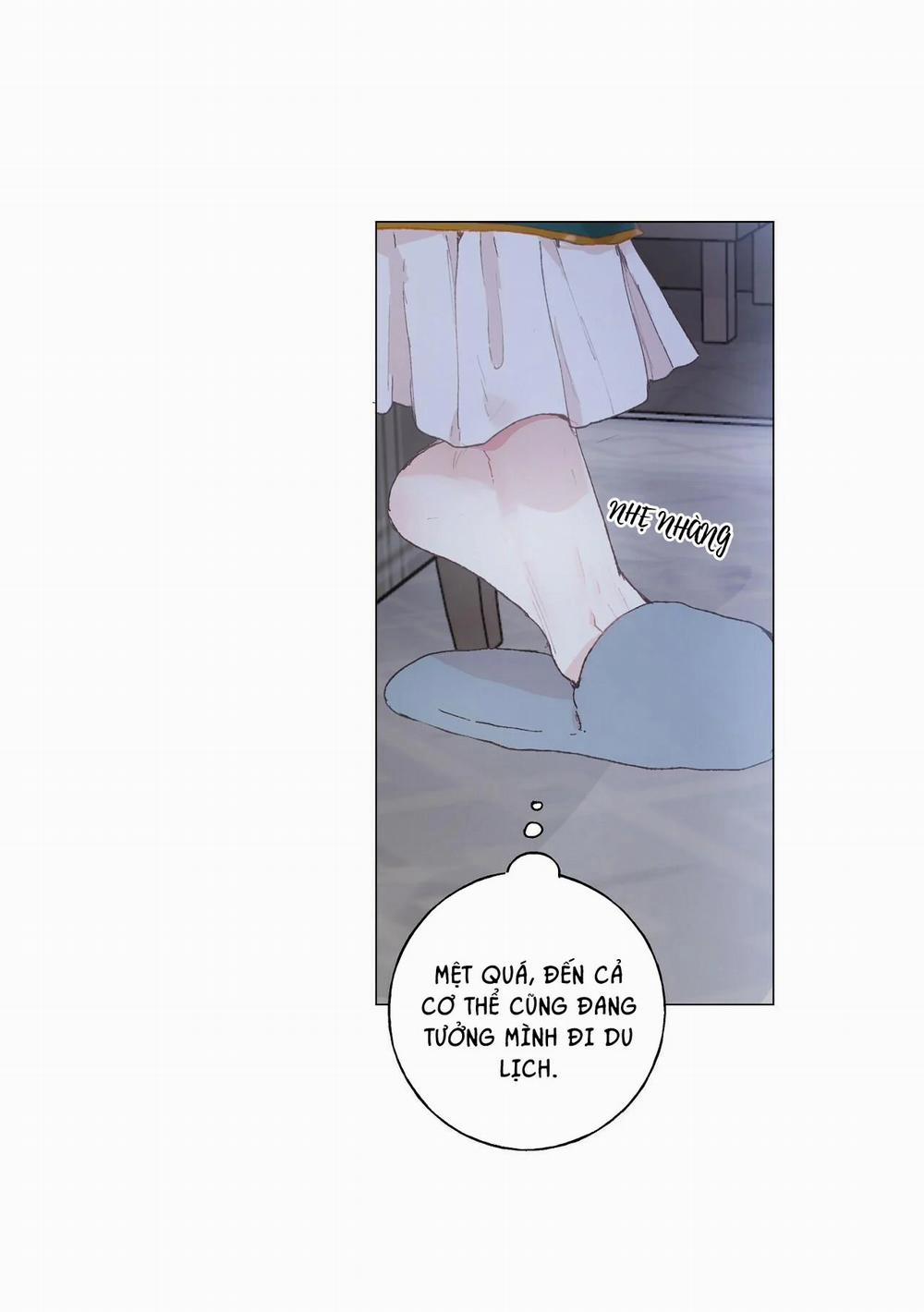 Những Vị Hôn Phu Thầy Kiếm Về Cho Tôi 19 trang 17