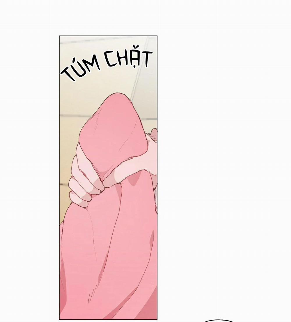 Những Vị Hôn Phu Thầy Kiếm Về Cho Tôi 19 trang 29