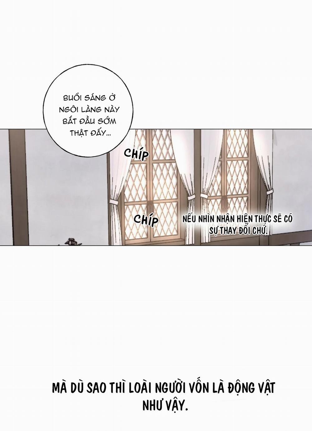 Những Vị Hôn Phu Thầy Kiếm Về Cho Tôi 20 trang 21