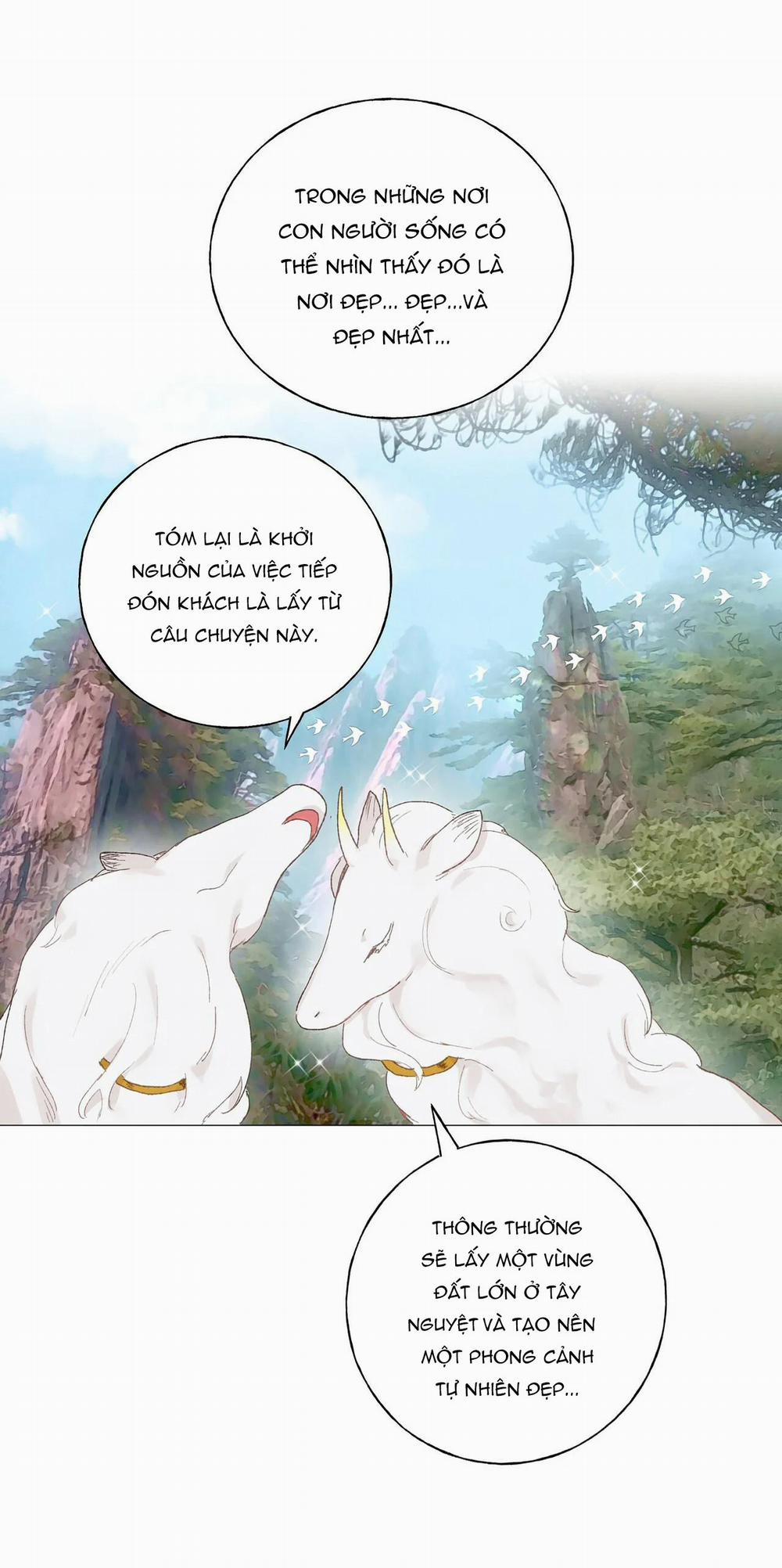 Những Vị Hôn Phu Thầy Kiếm Về Cho Tôi 21 trang 12