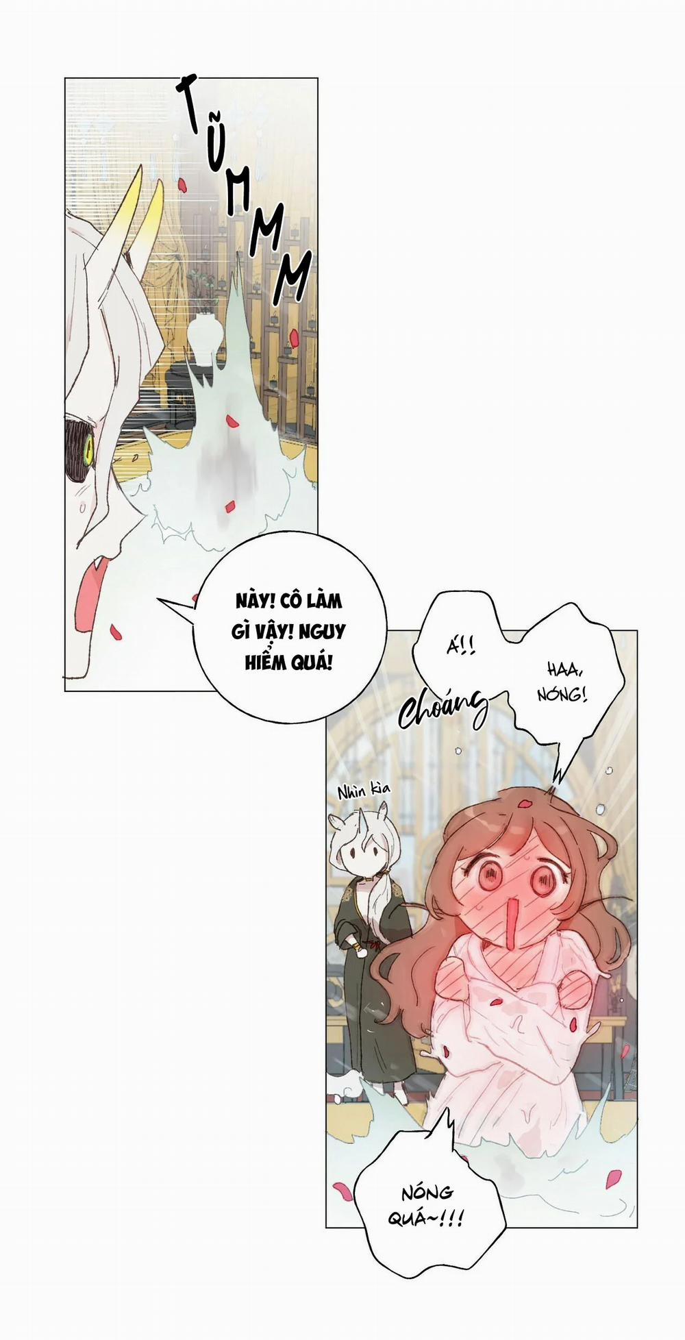 Những Vị Hôn Phu Thầy Kiếm Về Cho Tôi 21 trang 19