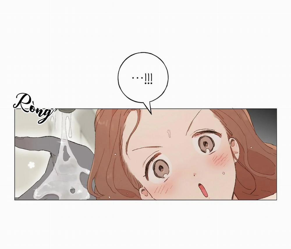 Những Vị Hôn Phu Thầy Kiếm Về Cho Tôi 21 trang 29