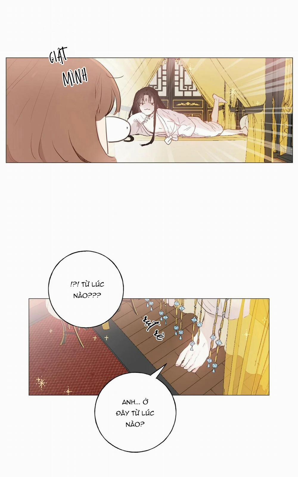 Những Vị Hôn Phu Thầy Kiếm Về Cho Tôi 21 trang 50