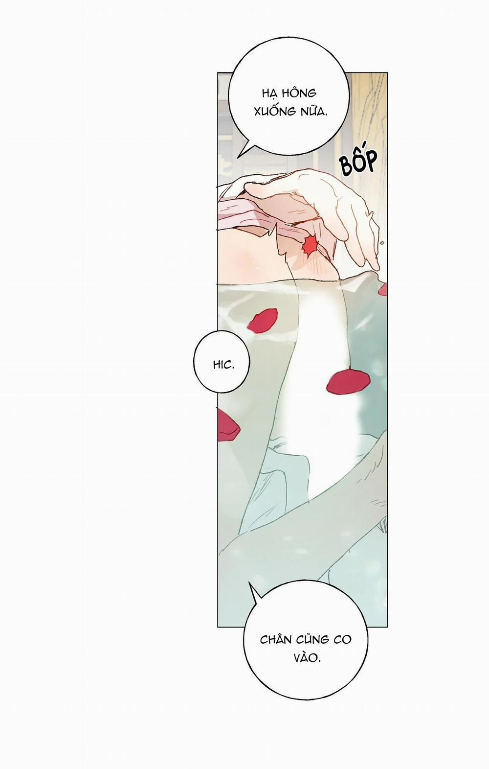 Những Vị Hôn Phu Thầy Kiếm Về Cho Tôi 22 trang 14