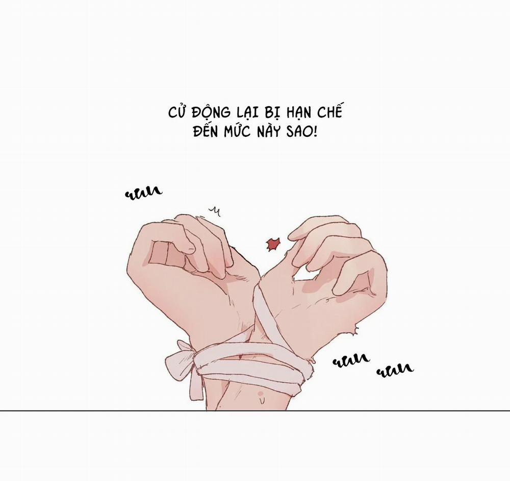 Những Vị Hôn Phu Thầy Kiếm Về Cho Tôi 23 trang 16