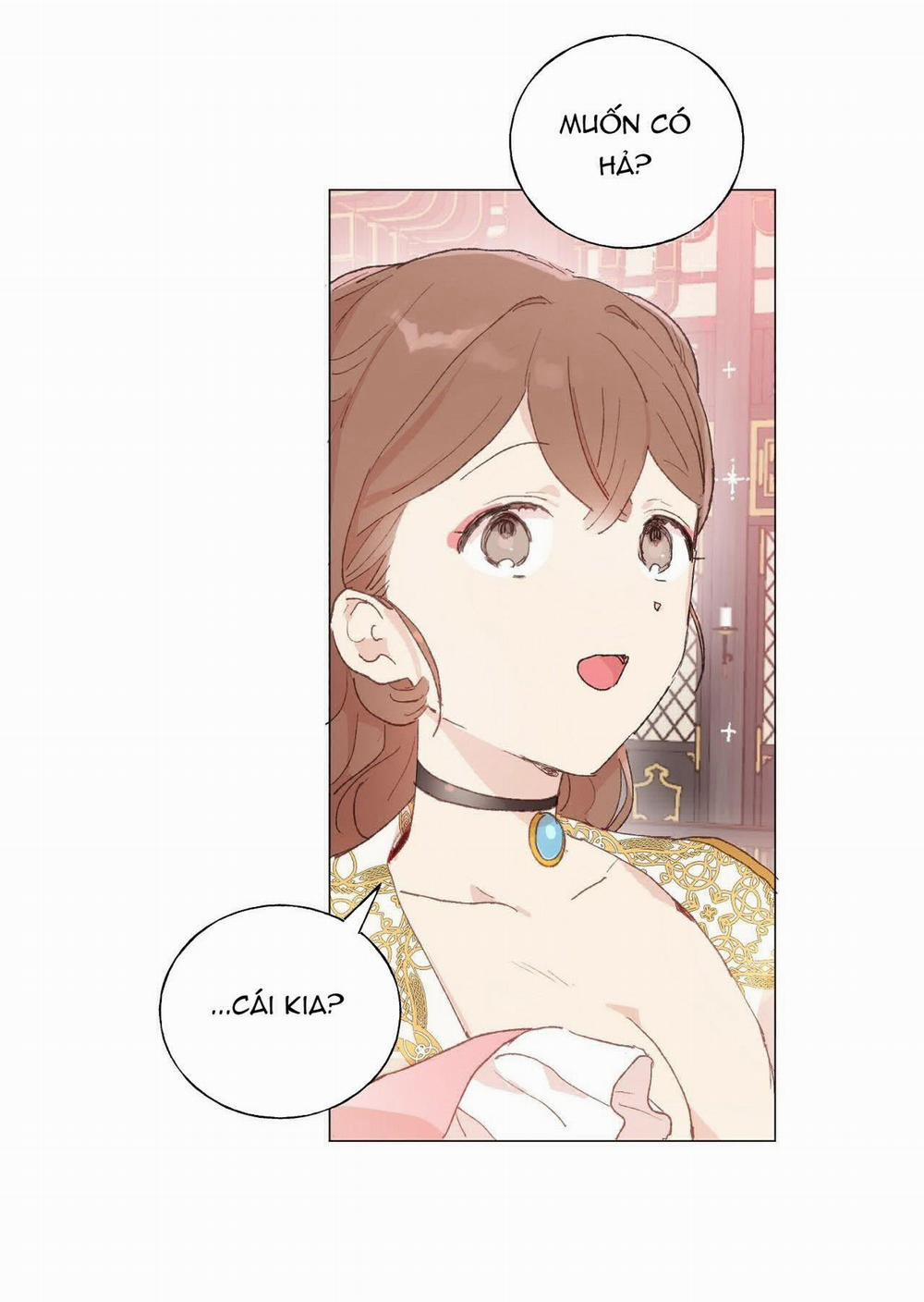 Những Vị Hôn Phu Thầy Kiếm Về Cho Tôi 23 trang 47