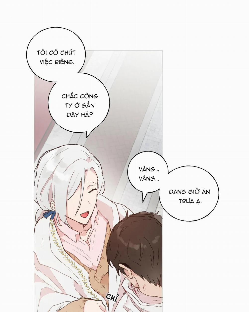 Những Vị Hôn Phu Thầy Kiếm Về Cho Tôi 24 trang 19