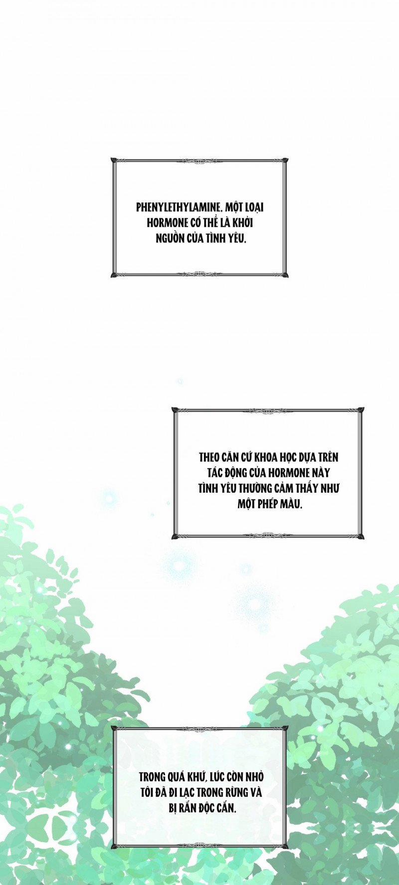 Những Vị Hôn Phu Thầy Kiếm Về Cho Tôi 26 trang 1