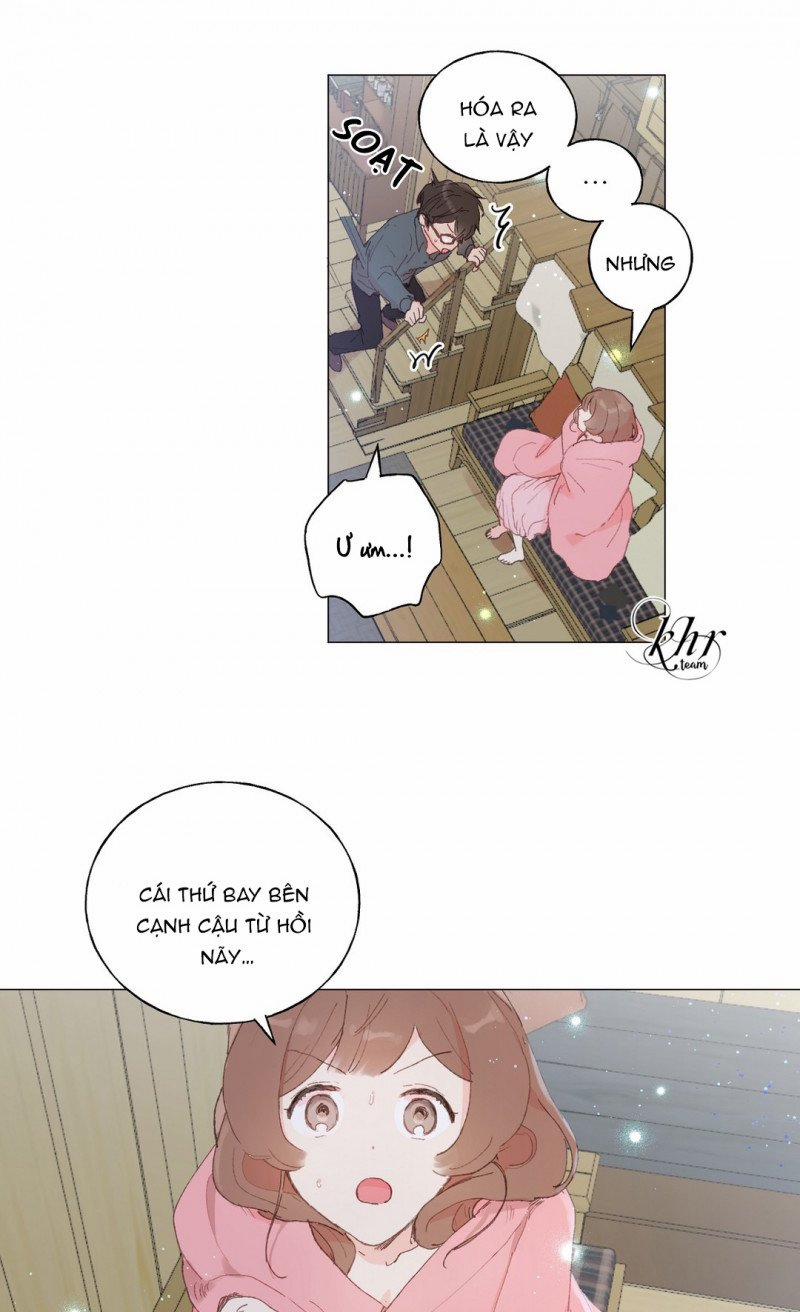 Những Vị Hôn Phu Thầy Kiếm Về Cho Tôi 26 trang 13