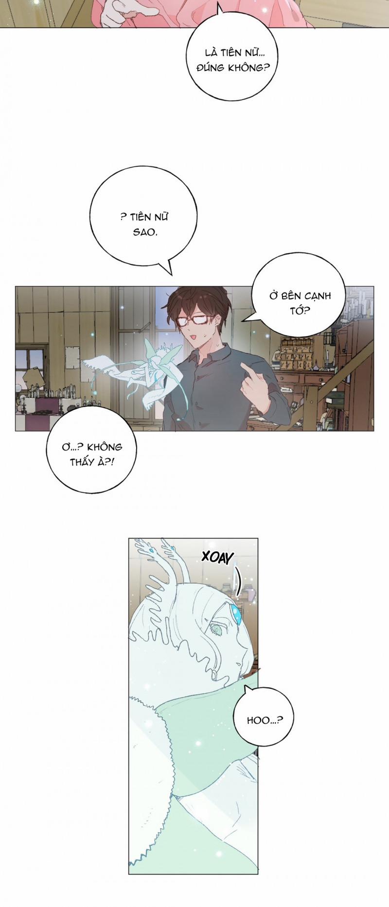 Những Vị Hôn Phu Thầy Kiếm Về Cho Tôi 26 trang 14