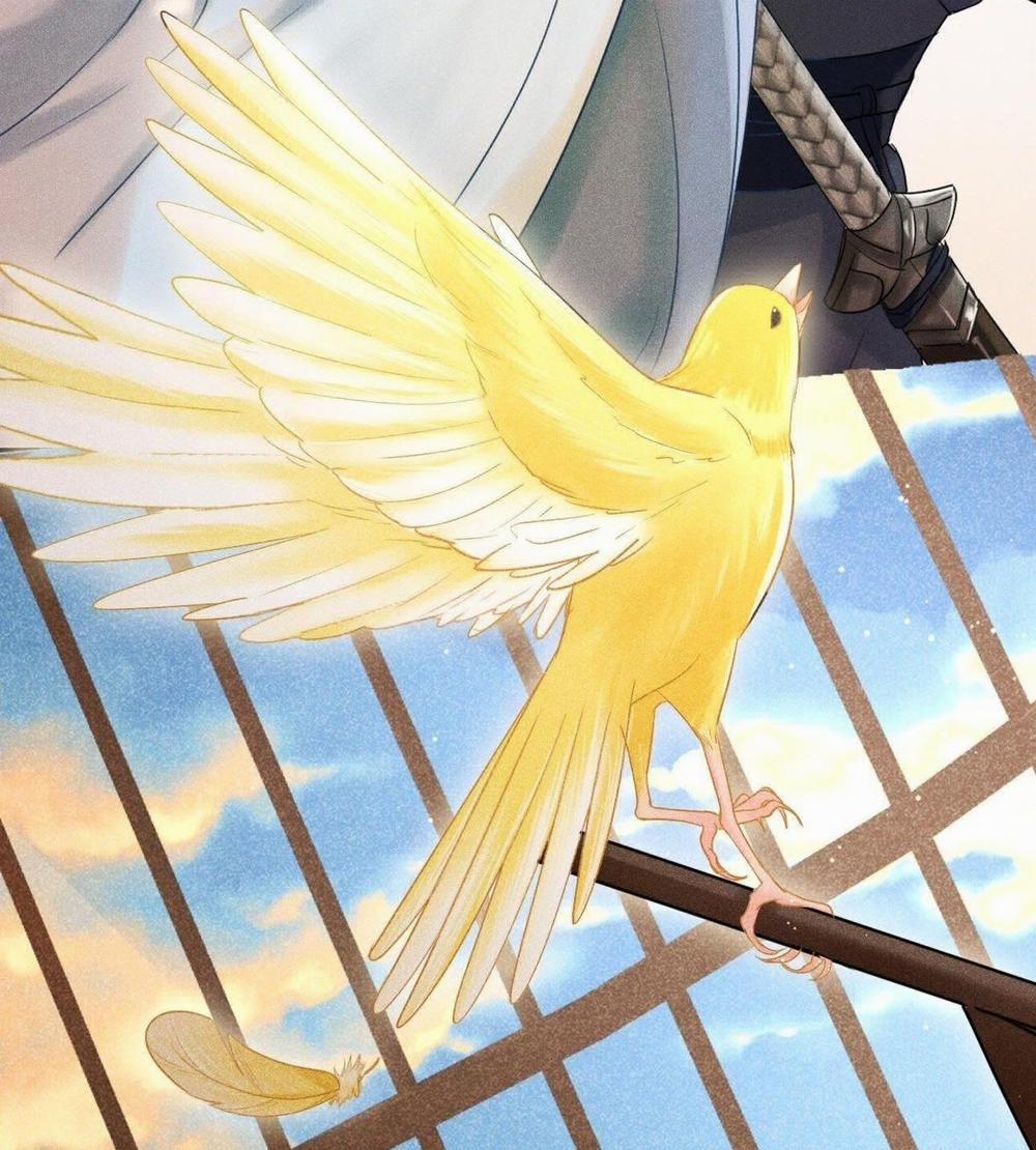 Nhụy Mật 0 trang 23